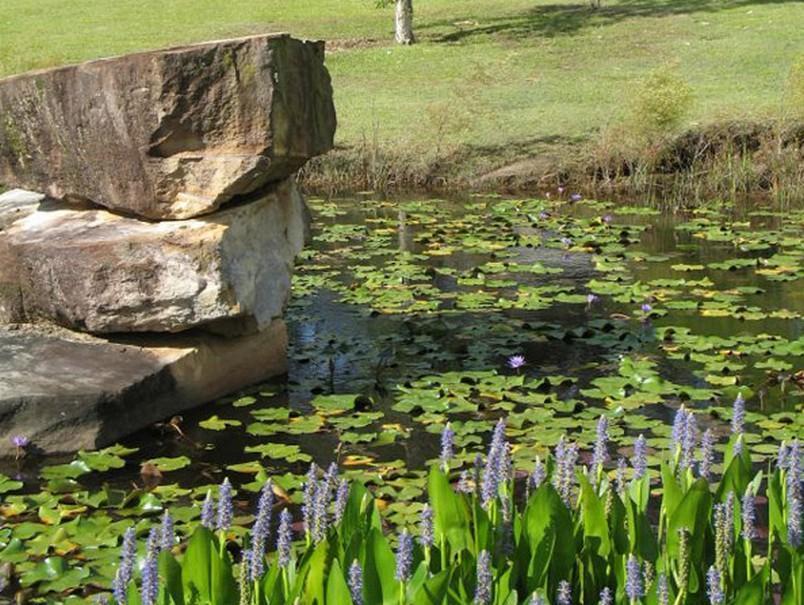 Tuckeroo Cottages & Gardens Rathdowney Exterior photo