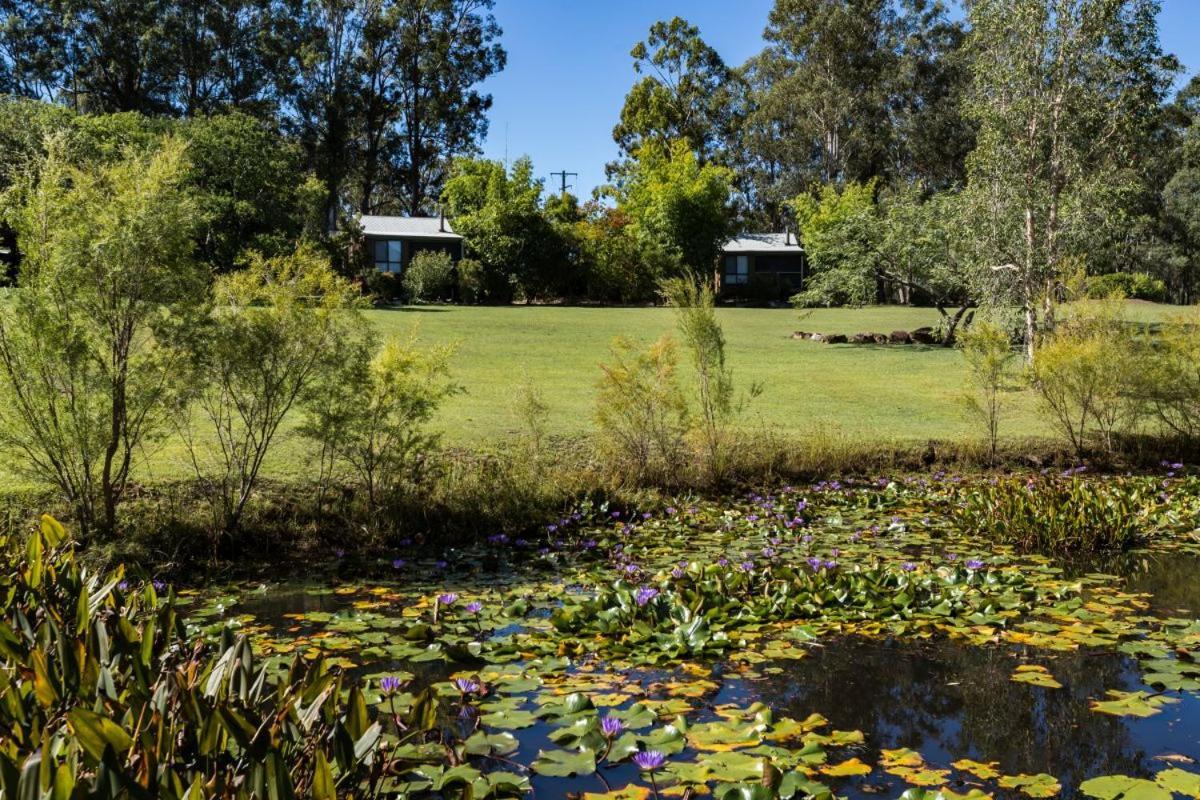 Tuckeroo Cottages & Gardens Rathdowney Exterior photo